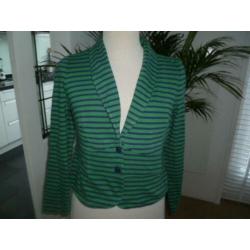 King Louie vest, groen/blauw, maat L