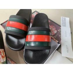 Gucci slippers