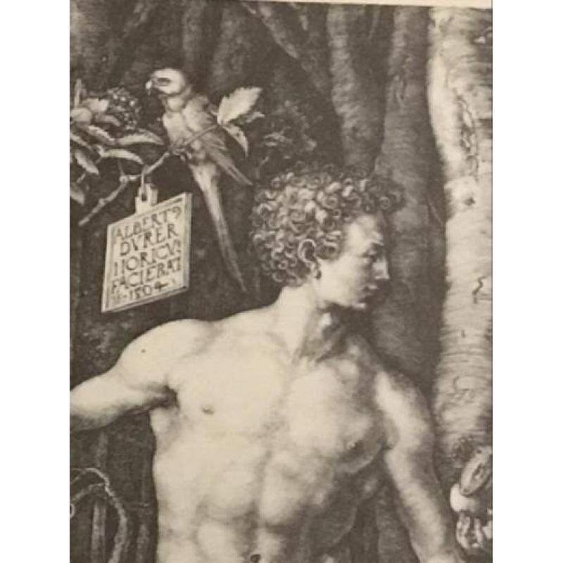 Adam en Eva prent Albrecht durer 27x33cm