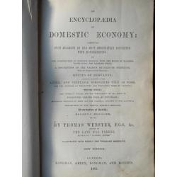 Mooie antieke complete encyclopaedia of domestic economy.