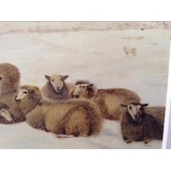 Schilderij : Schapen in de sneeuw in jaar 1863.