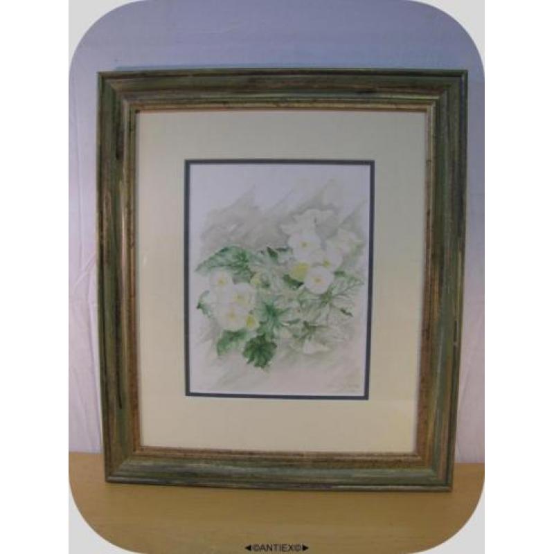 1701 - aquarel bloemen Jan Mesman - € 75