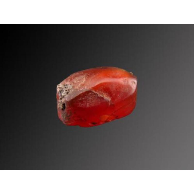 Egyptian carnelian scarab with bronze suspension ring remain