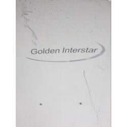 Golden interstar Schotelantenne met kop & muurbeugel