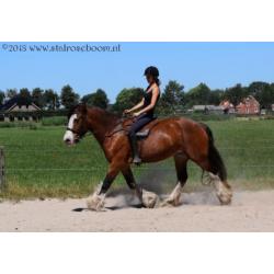 Clysesdales en shires .. Clysesdale Shire