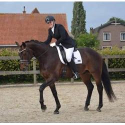 Mooi dressuur paard, Fürstenball x Wolkentanz, ruin, 1.70m