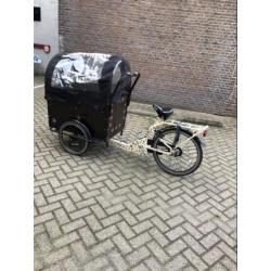 Bakfiets te koop