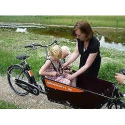 Bertus Bakfiets Bike