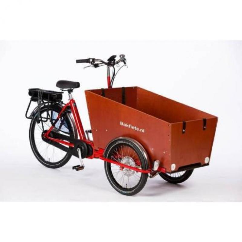 cargoTrike Classic Narrow Steps