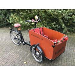 Babboe Big Bakfiets te koop