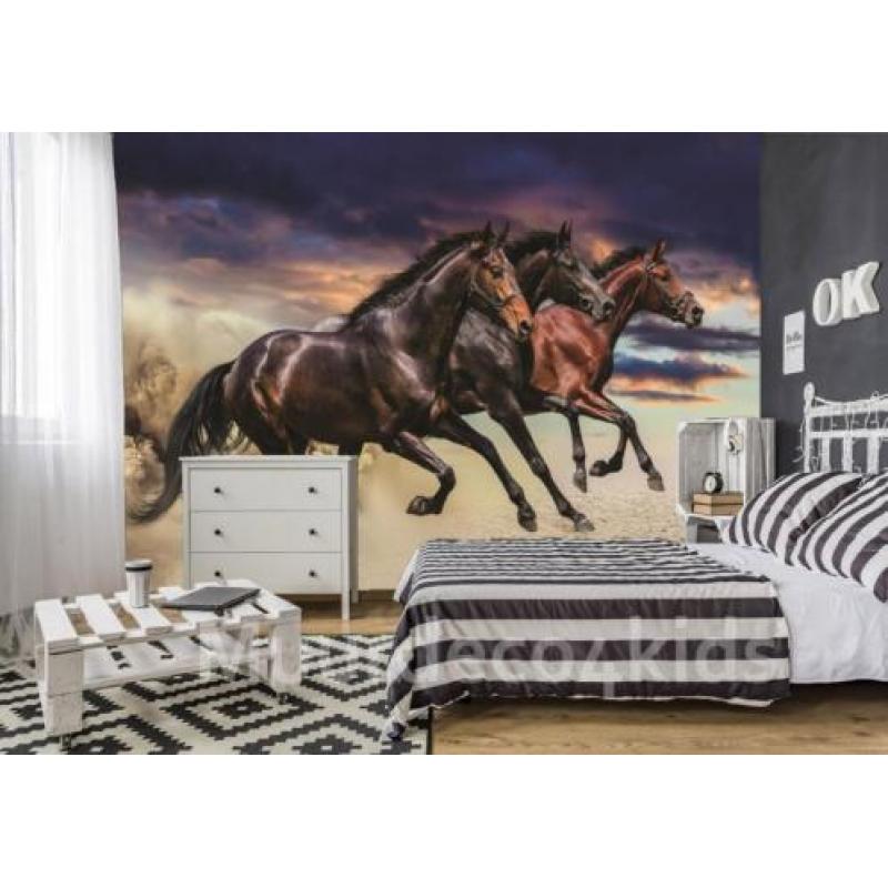 Paarden fotobehang VLIES XL - In galop Paarden behang